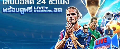 สิทธิพิเศษระดับ VIP promotion banner